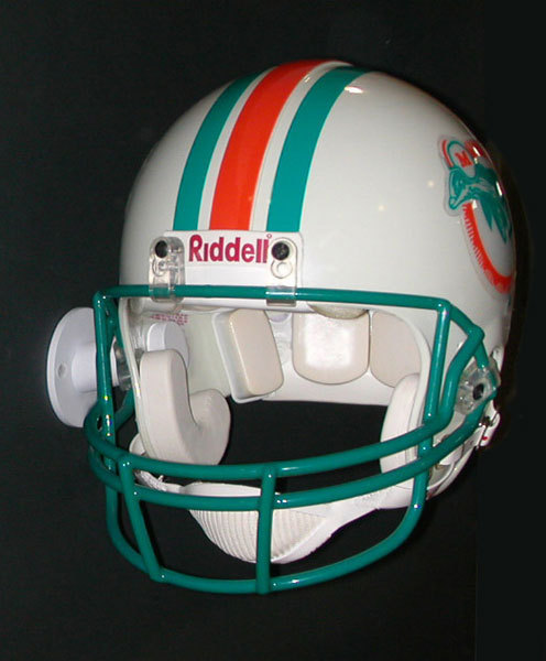 Enter a caption... Enter a caption...